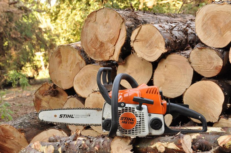 Stihl Chainsaws &amp; Telescopic Pole Pruners