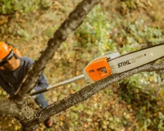 Stihl Chainsaws &amp; Telescopic Pole Pruners thumbnail 4