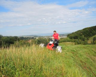AEBI CC 150 / CC 160 thumbnail 2